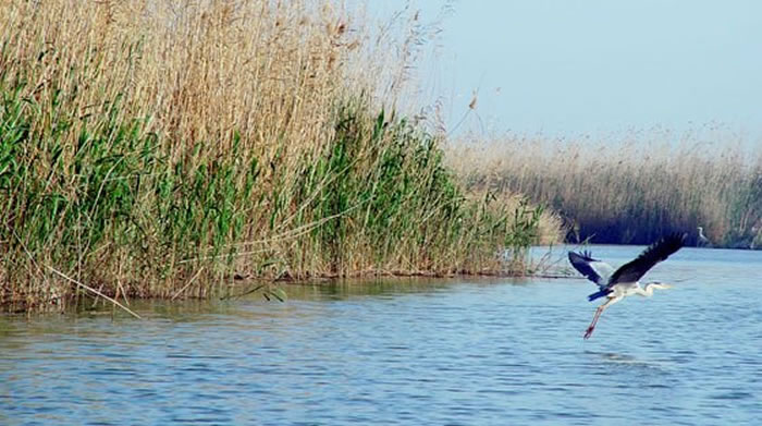 proteccion de humedales