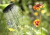 Cómo eliminar el cloro del agua de forma efectiva
