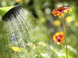 Cómo eliminar el cloro del agua de forma efectiva