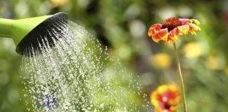 Cómo eliminar el cloro del agua de forma efectiva
