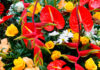 Ramo de flores ornamentales