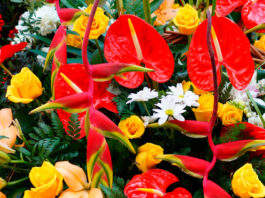 Ramo de flores ornamentales