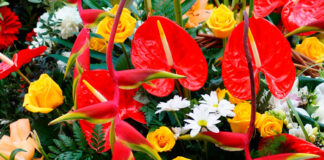 Ramo de flores ornamentales