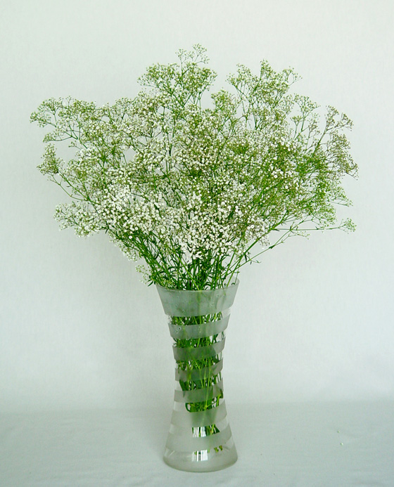 Ramo de Gypsophila paniculata