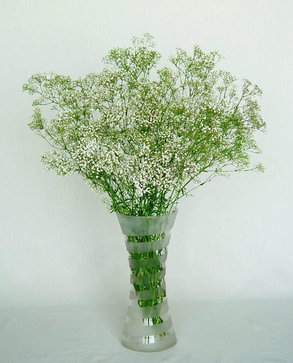 Ramo de gypsophila paniculata