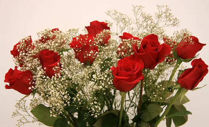 Ramo de rosas rojas con paniculata