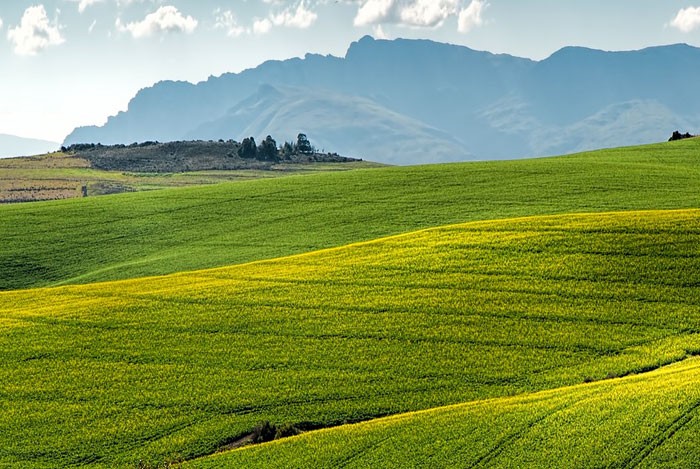 Real Decreto sobre productos fertilizantes