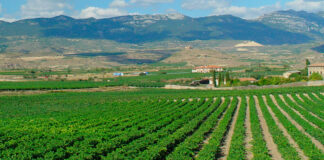 Recogidas itinerantes de envases agrícolas