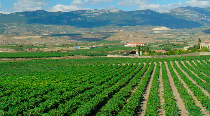 Recogidas itinerantes de envases agrícolas