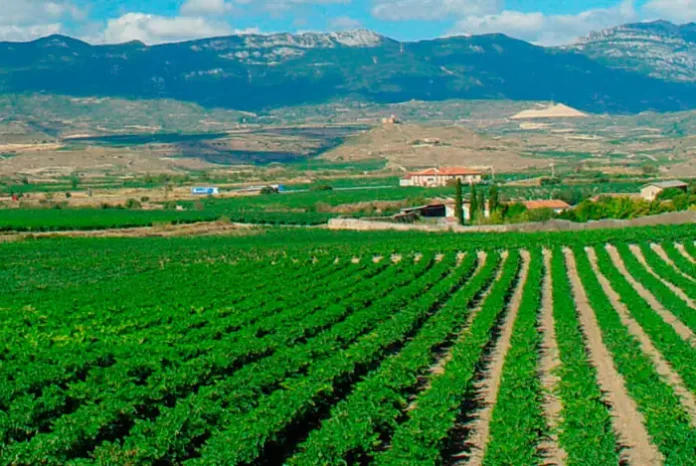 Recogidas de envases agrícolas en La Rioja