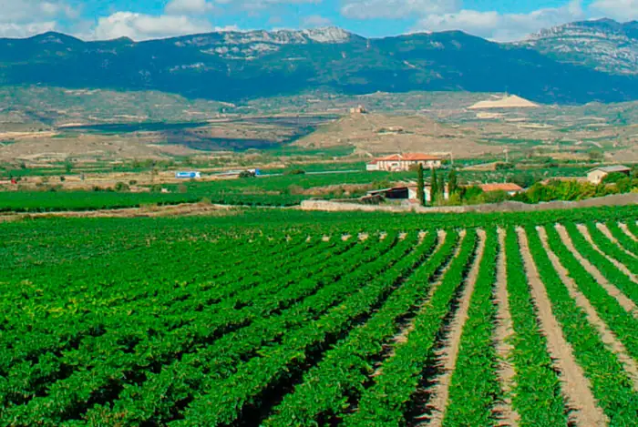 Recogidas de envases agrícolas en La Rioja