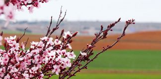 Recogida de envases agrícolas