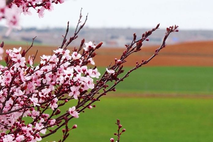 Recogida de envases agrícolas