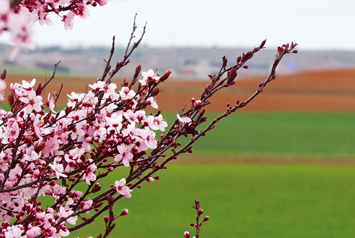 Recogida de envases agrícolas