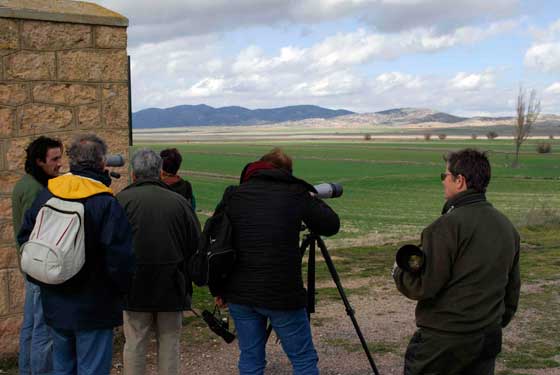 Reportajes sobre la naturaleza