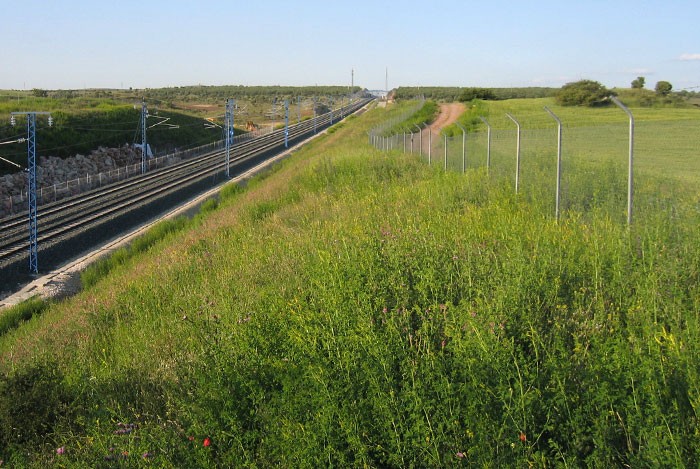 Cambio global y agricultura de conservación