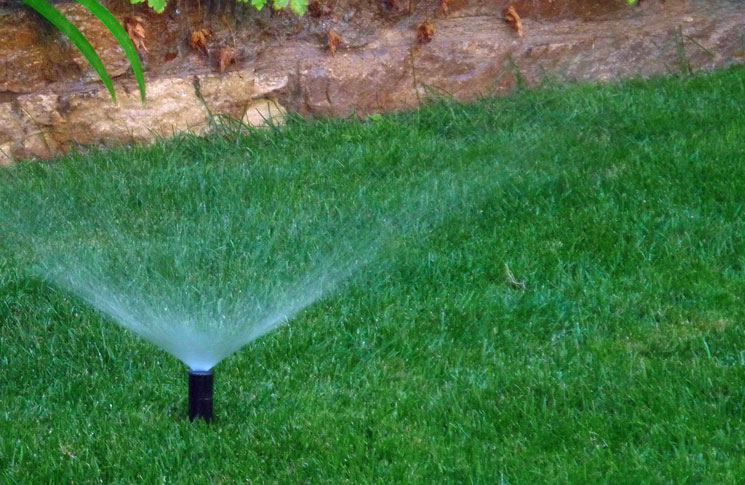 Consejos sobre el riego en terraza y jardín