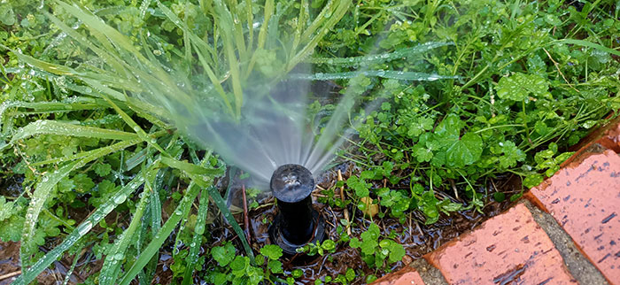 Riego para ahorrar agua