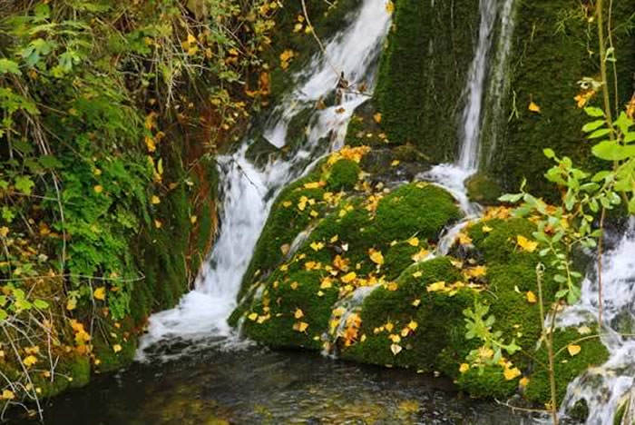 rio bohigues