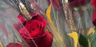 Rosas en Sant Jordi, Barcelona