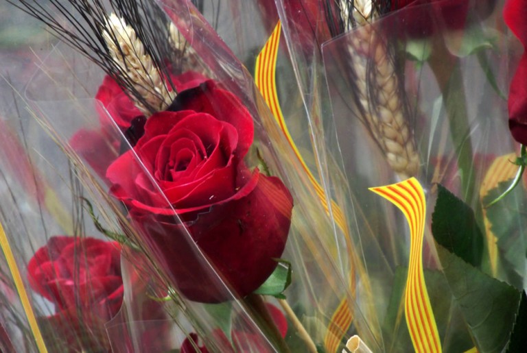 Rosas en Sant Jordi, Barcelona