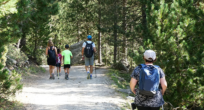 Ruta al Pino de Peixerani