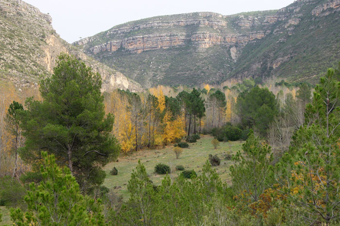 La Puente Alta