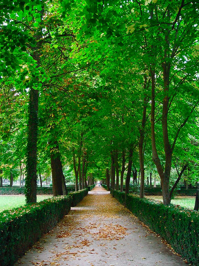 setos aranjuez
