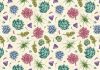 Plantas suculentas ilustradas por Enisaurus