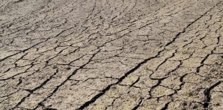 Suelo de cultivo erosionado