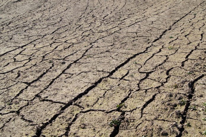 Suelo de cultivo erosionado