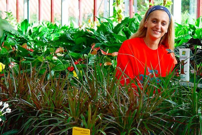 Sustrato para plantas de interior