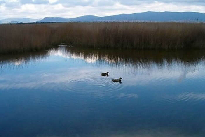 Tablas de Daimiel