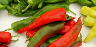 Tipos de pimientos