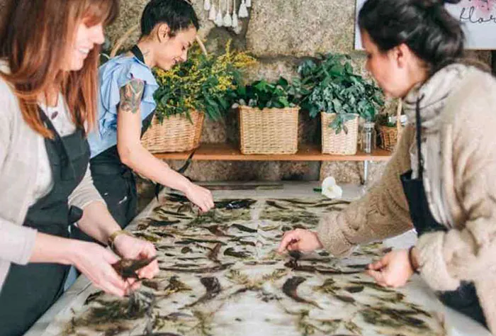 Trabajos la estampación Ecoprint