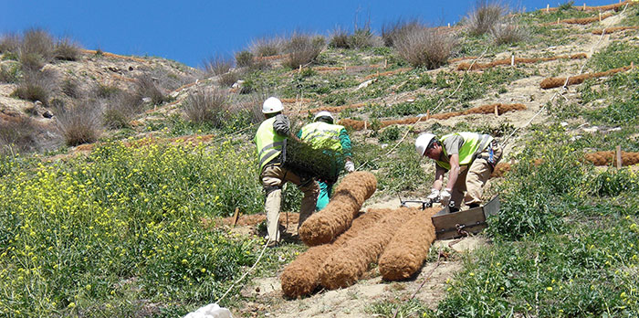 Trabajos de restauración del paisaje