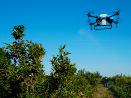 Tratamientos agrícolas con drones