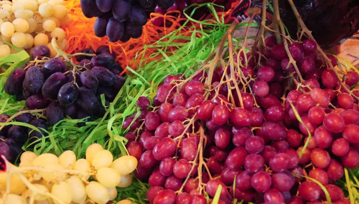 Uvas en racimo expuestas