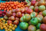 variedades de tomates