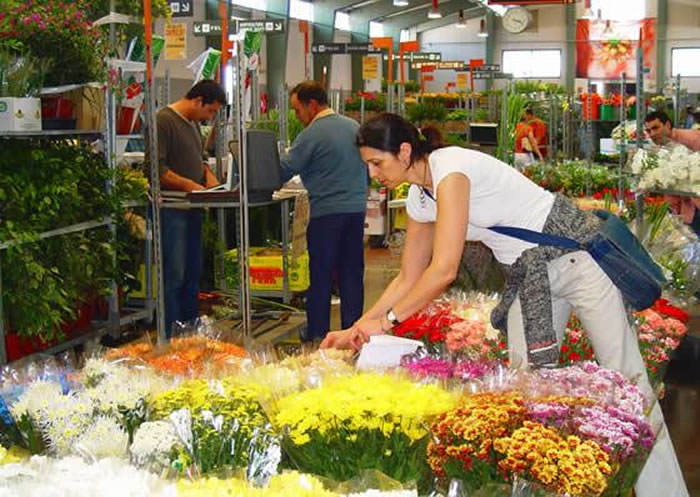 venta de flores