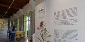 Verano, exposición de José Saborit