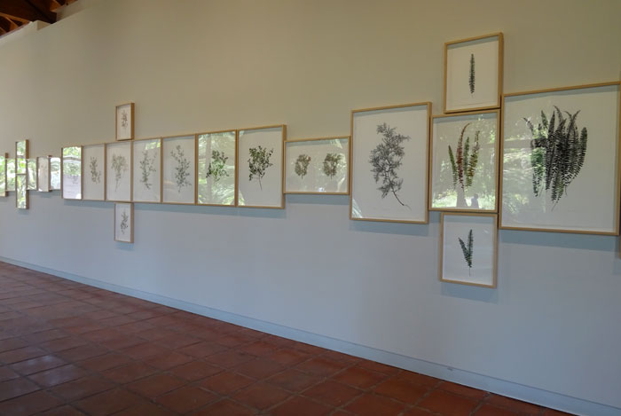 Verano, exposición de José Saborit