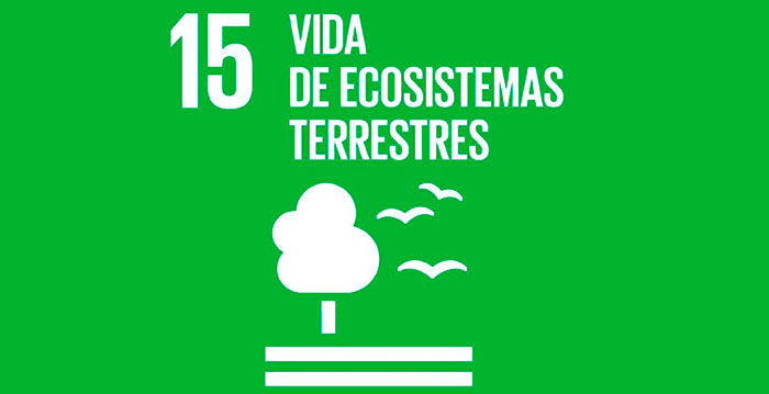 Agenda 2030 él ODS número 15-Vida de Ecosistemas Terrestres