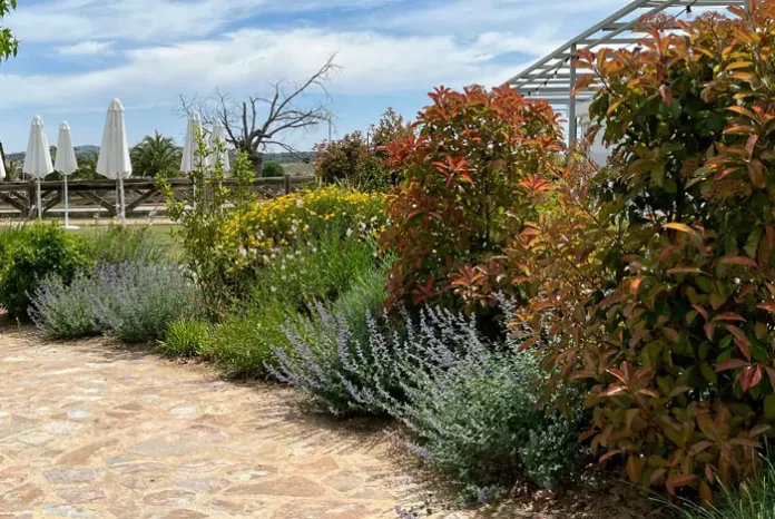 Xerojardín en una casa residencial