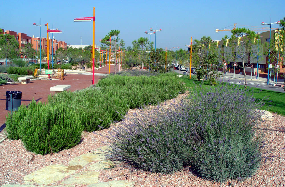 Xerojardineria